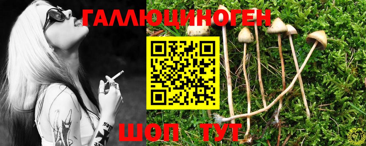 Псилоцибиновые грибы GOLDEN TEACHER  Галлюциногенные грибы ЛСД  Вход с VPN  Каспийск 